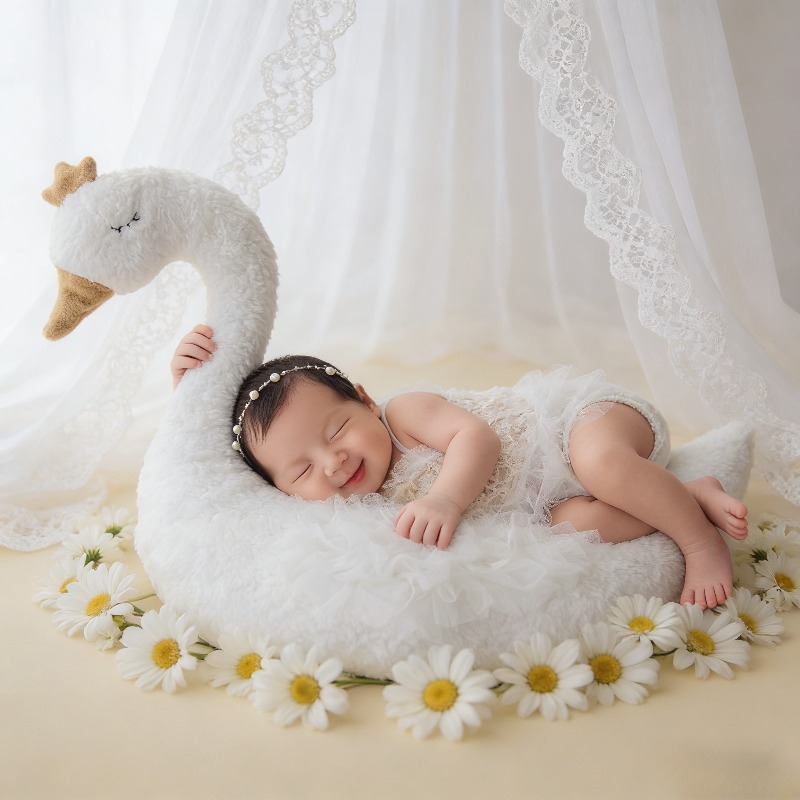 Newborn Photography Prop Swan  - Baby Nursery Set avis et prix