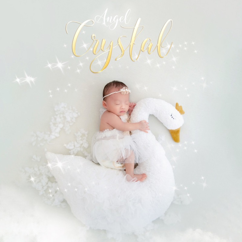 Newborn Photography Prop Swan  - Baby Nursery Set avis et prix